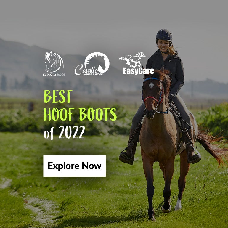 Horse Boots & Wraps Riding Warehouse