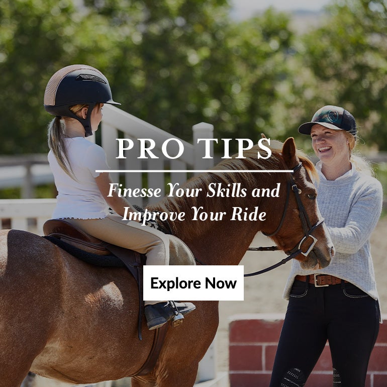 Rope Halters Riding Warehouse