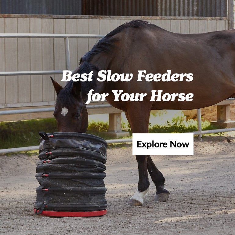 Horse Feeding Supplies Riding Warehouse