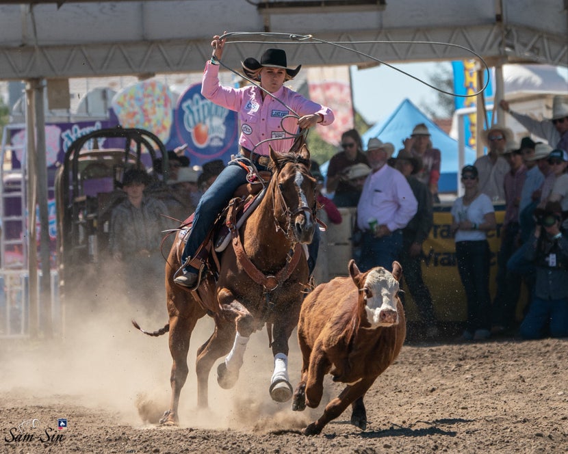 girl on bay horse in a breakaway event, roping a cow