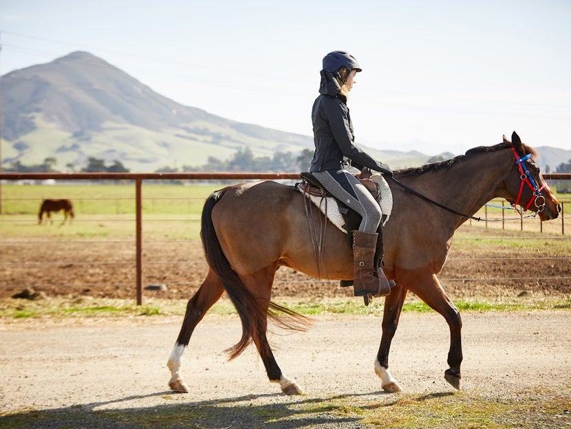 How to Choose a Toklat Saddle Pad