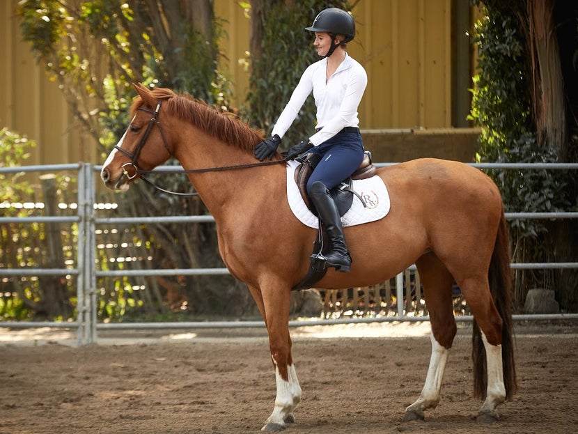 English rider on horseback, pettiner her chestnut horse while stanidng in a dirt arena.