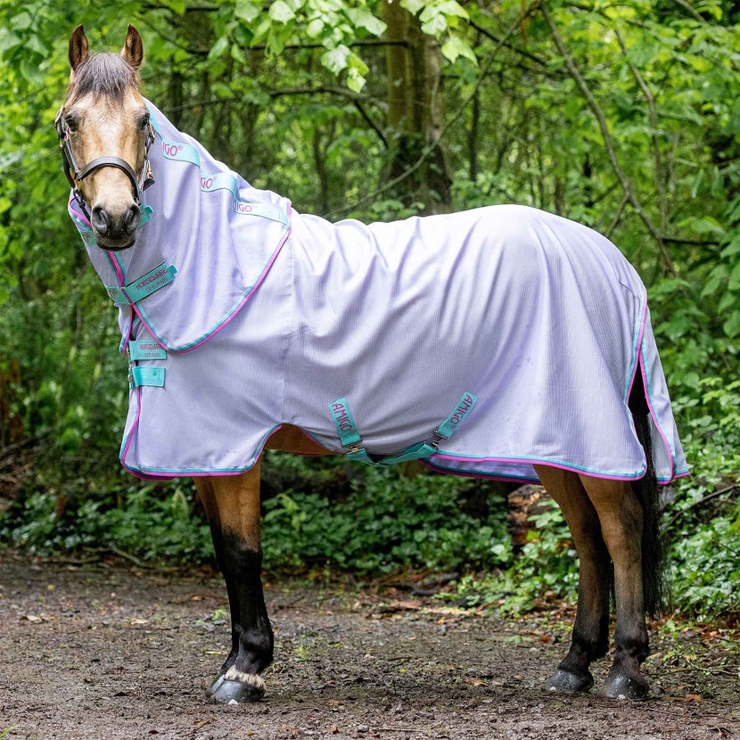 Best Fly Sheets of 2022