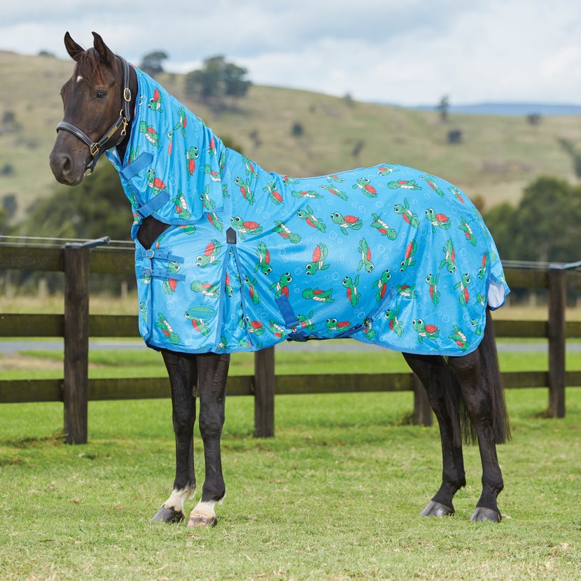 Best Fly Sheets of 2022