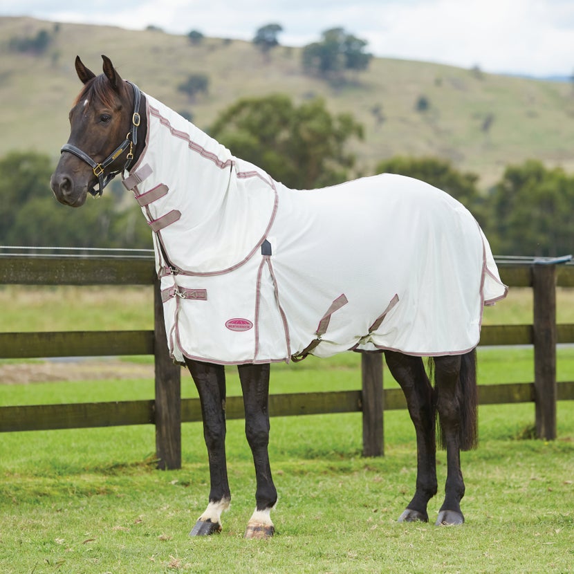 Best Fly Sheets of 2022