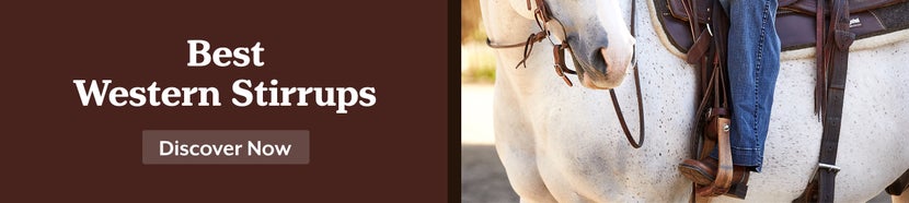 Best Western Stirrups: Discover Now