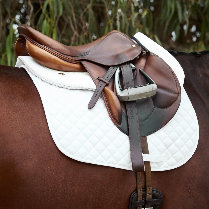 Monoflap saddle with Freejump stirrups, sitting on a bay horse. 