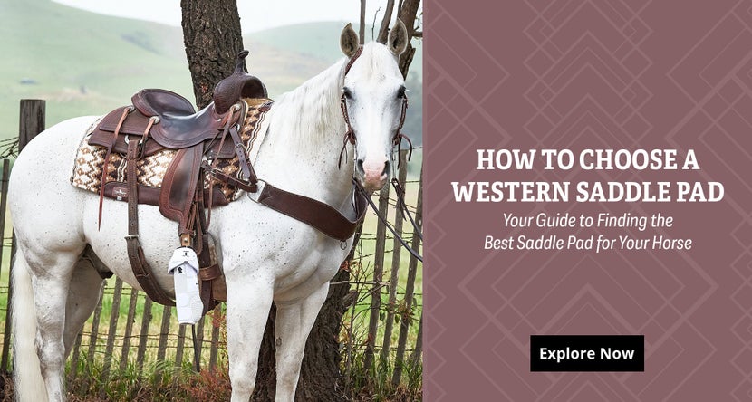 How to choose a Western saddle pad. 