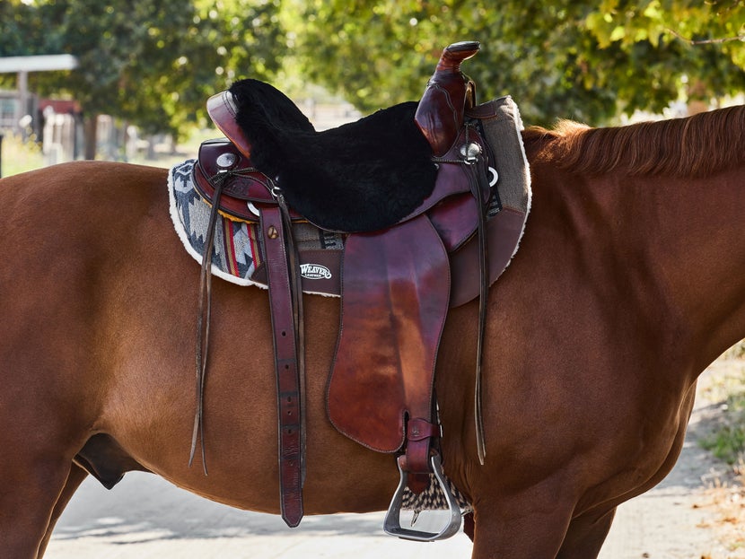 Bay horse wearing the Weaver Herculon Merino Wool Fleece Barrel Saddle Pad.