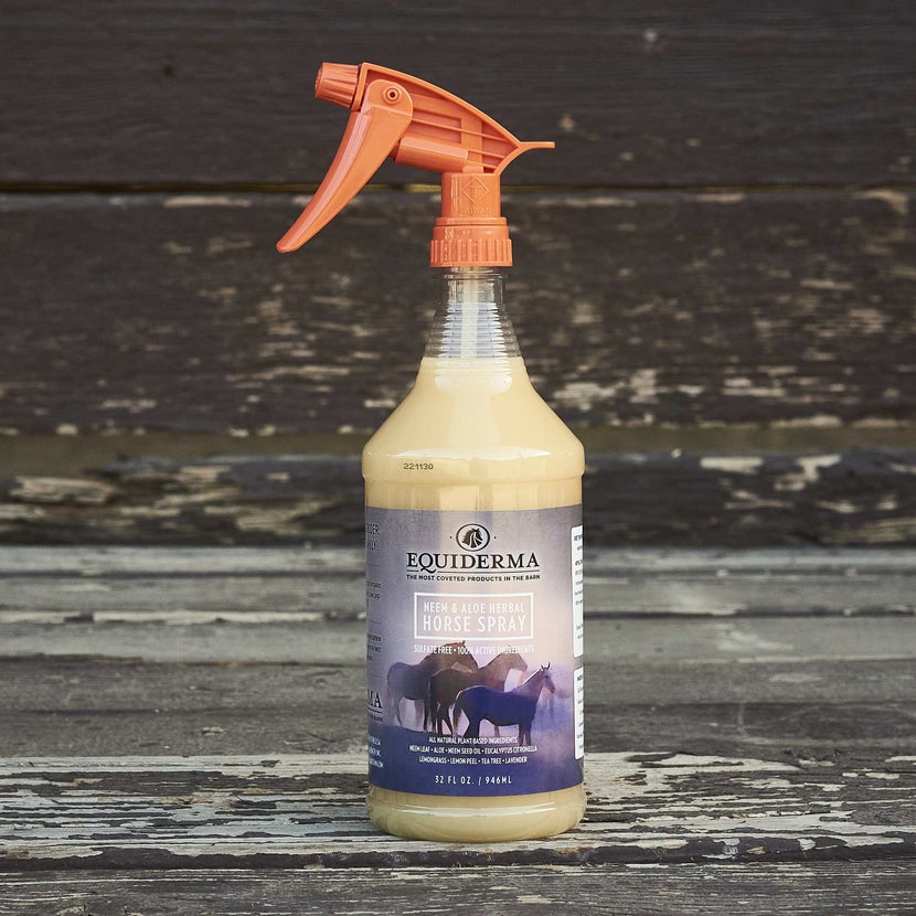 Best Fly Sprays 2022 A Buying Guide for Horse Owners