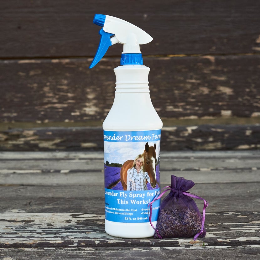 Top 17 best fly spray for horses 2022