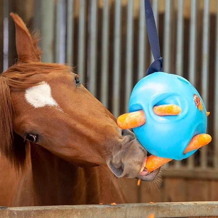 Horse playing with a toy filled with carrots