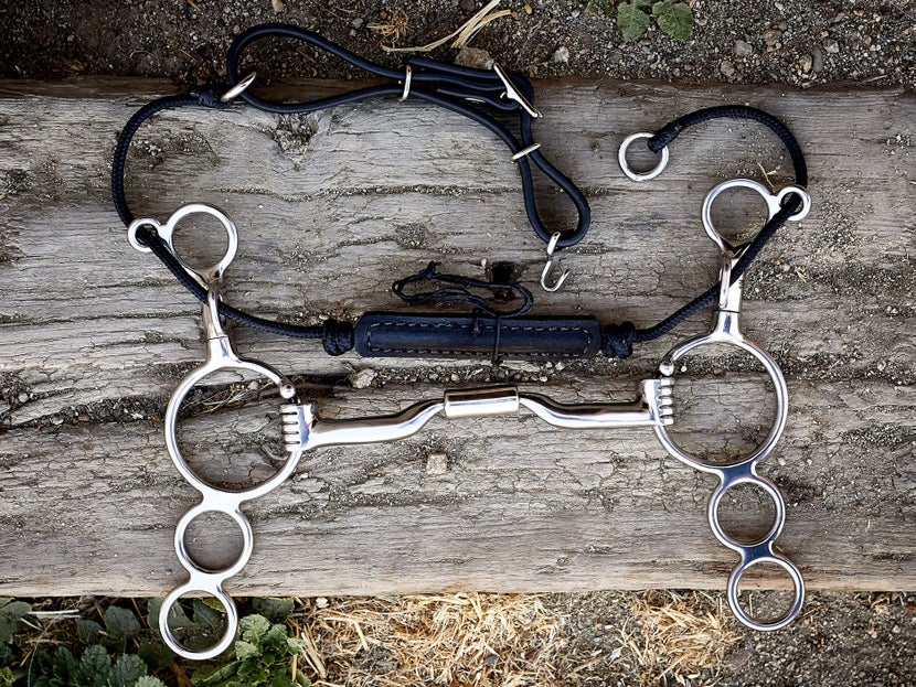 A horse bit with combination cheekpieces, laying flat on a piece of wood. 