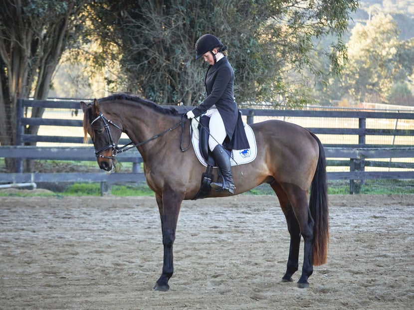 Woman on her horse in Dressage attire, at a collected halt. 