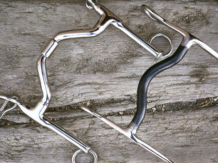 Close up two horse bits side-by-side with port mouthpieces, laying flat on a piece of wood. 