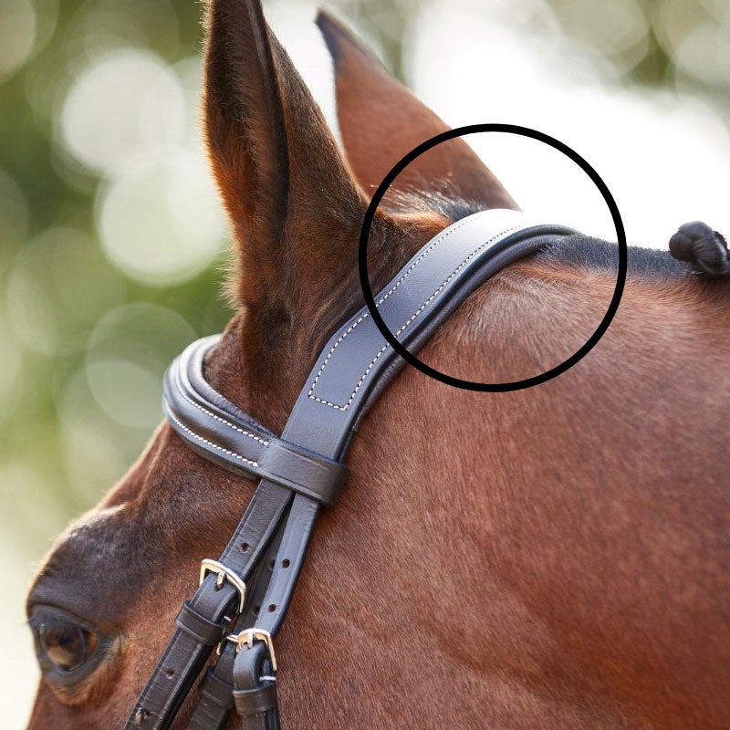 Close up image of a bay horse bridled with a brown browband bridle, showing it sitting on the horse's poll. 