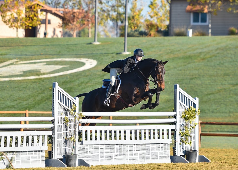 Horse and rider jumping in hunter attire and tack.