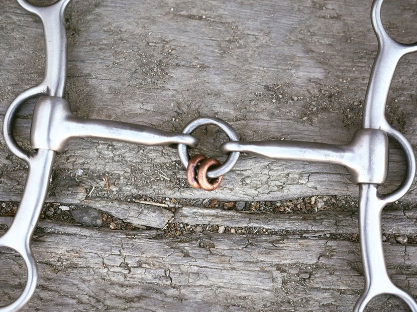Close up image of a horse bit with a lifesaver mouthpiece, laying flat on a piece of wood. 