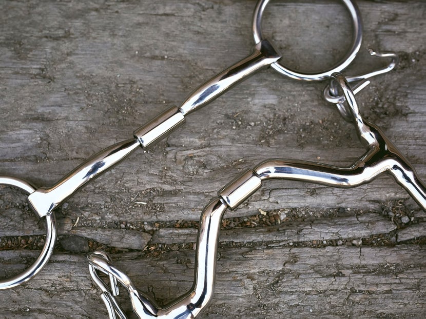 A loose ring snaffle bit and ported shank bit laying next to each other an a piece of wood.