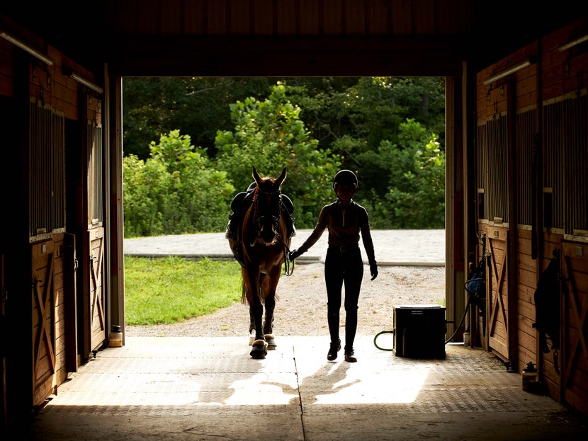 Woman walking horse into a barn.