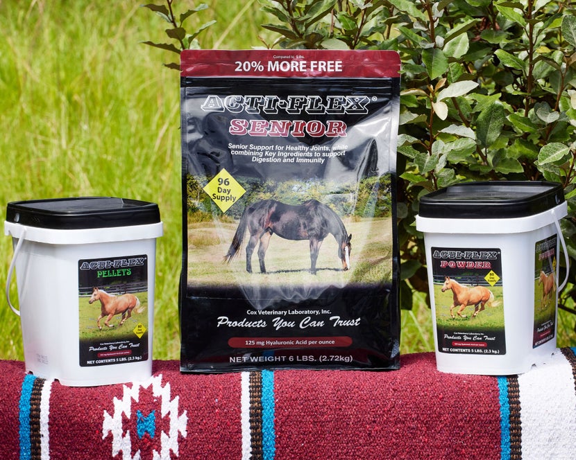 Three supplements buckets sitting on a western woven blanket; including: Cox Vet Acti-Flex Senior, Acti-Flex Powder and Pellets Joint Supplements