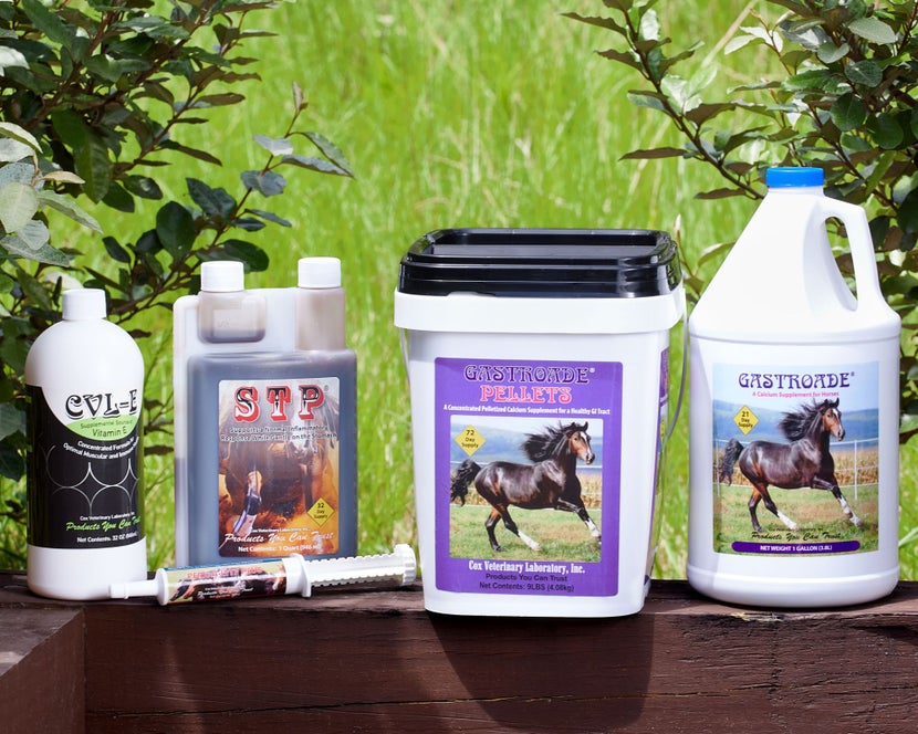 Cox Vet Supplements sitting on a railing, which include: Gastroade Pellets and Liquid, Perk-a-Lyte Plus Electrolyte, CVL-E Supplements