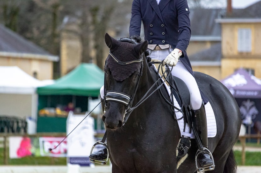 Dressage rider and horse competing in an outdoor show arena. 