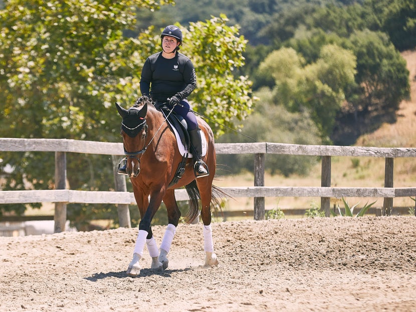 Horse Girth, English Horse Tack