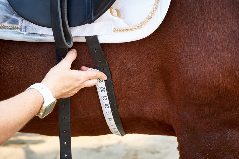 Measure Dressage Girth with a Fabric Tape Measurer to achieve your horse's estimated girth size