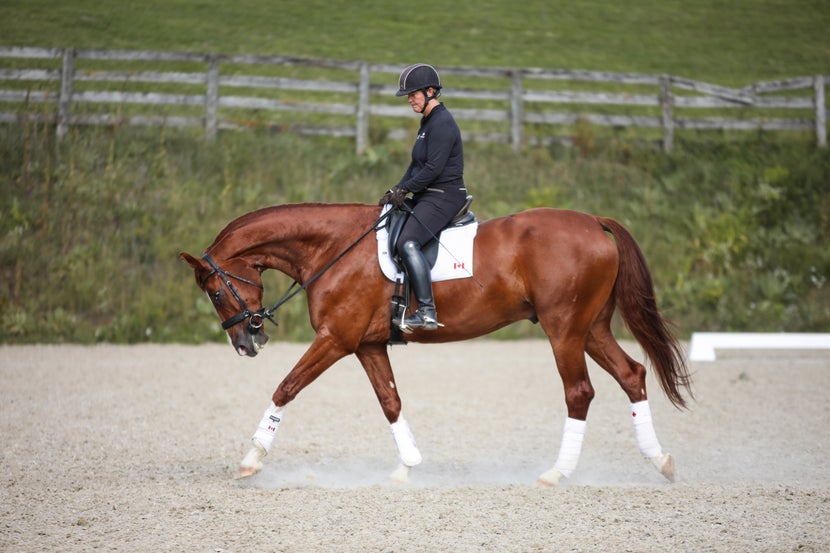 Dressage rider training in arena. 