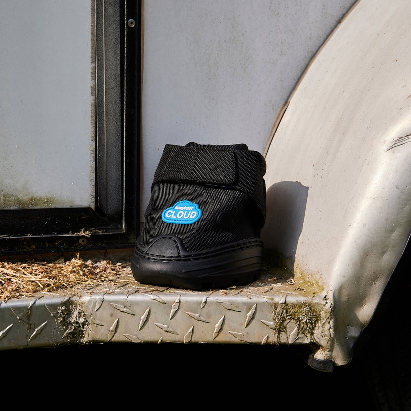 The EasyCare Cloud Therapeutic Hoof Boot sitting on the side of a horse trailer. 