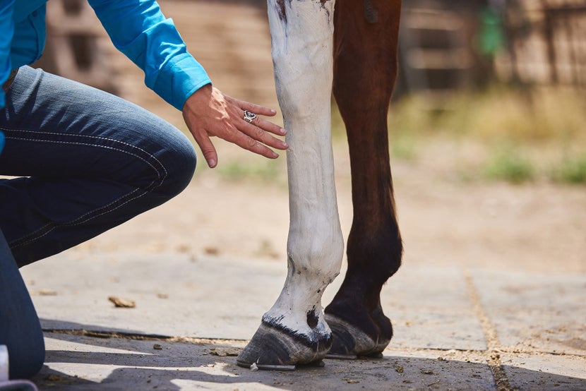 Woman leaning down next to her horse's front leg, showing a thick, applied layer of poultice. 