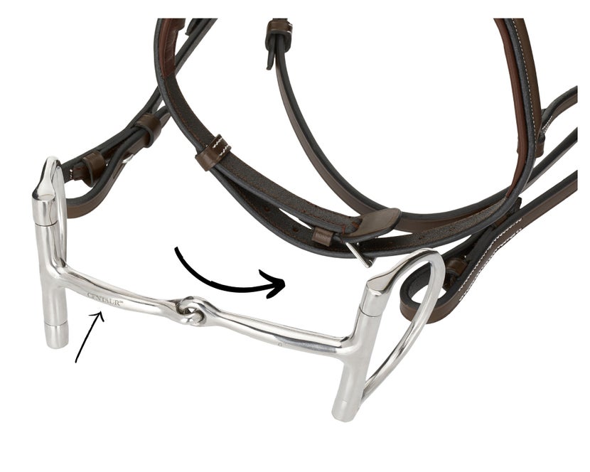 The bit should curve away from the bridle, if the bit has branding the logos will face away from the bridle