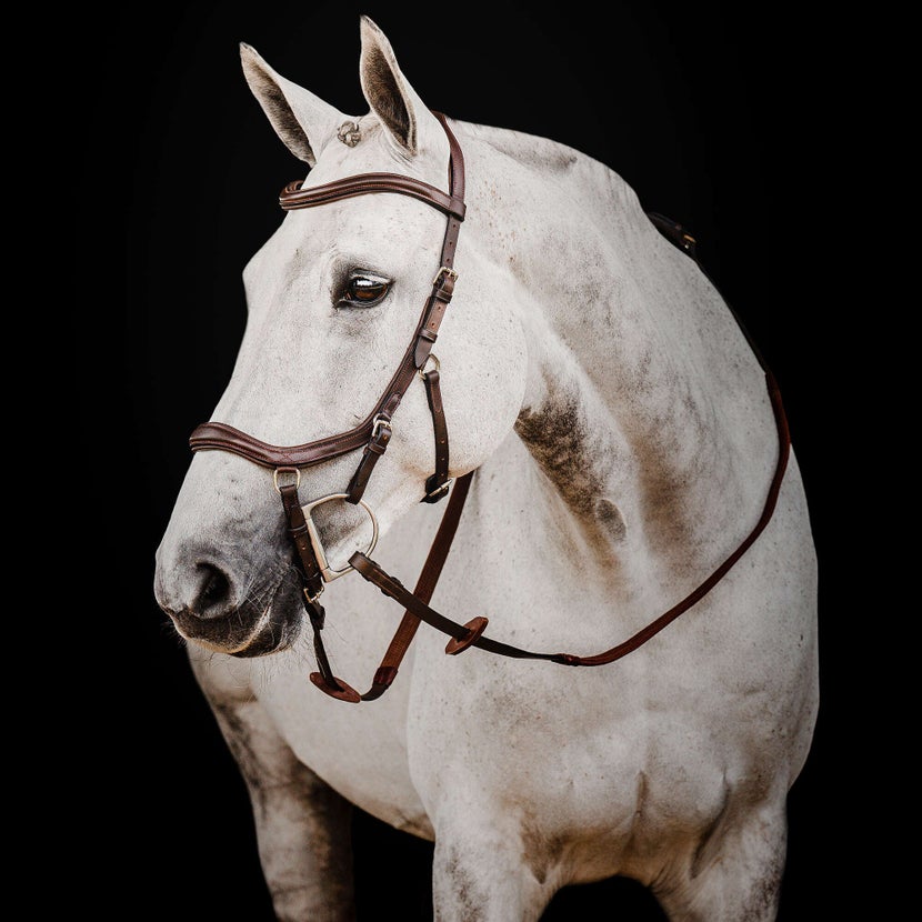Grey horse wearing the Micklem Deluxe Competition Bridle in brown. 