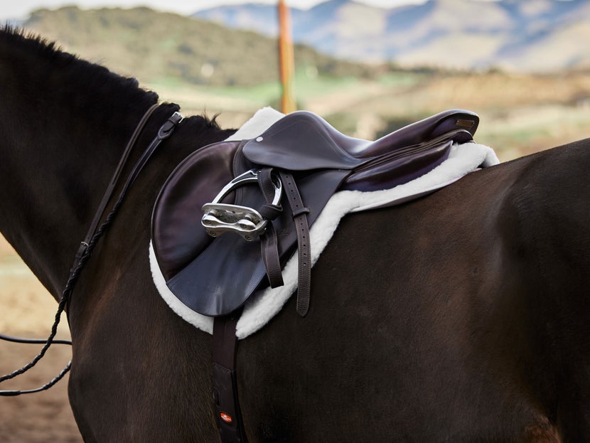 Dark bay horse wearing a close-contact saddle and shaped, white hunter-style saddle pad.