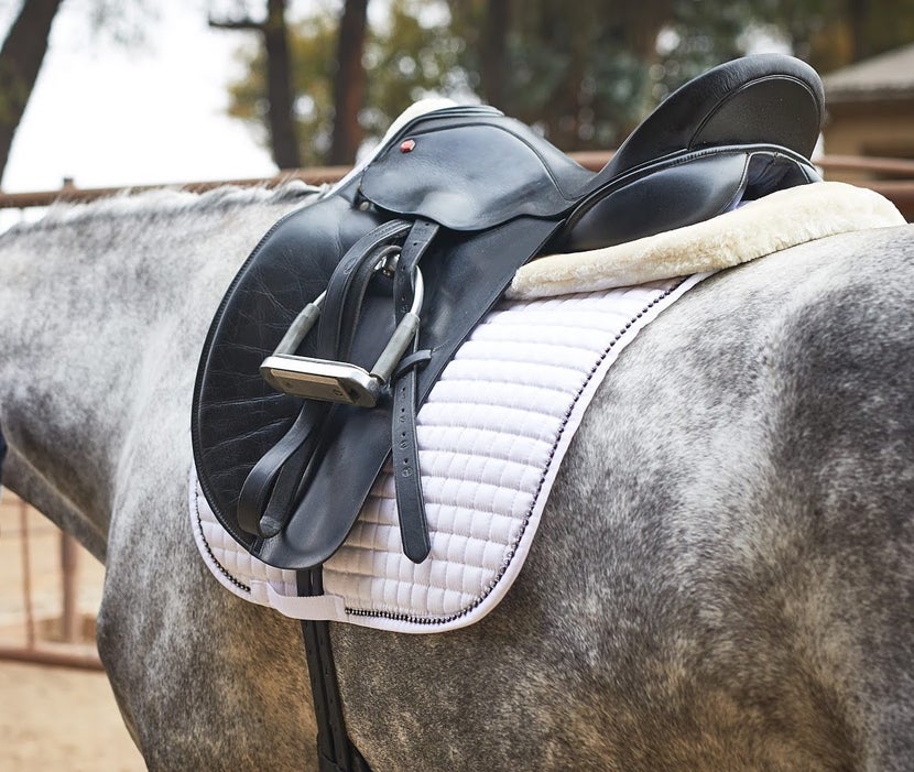 a horse with dressage saddle, square dressage pad and half pad