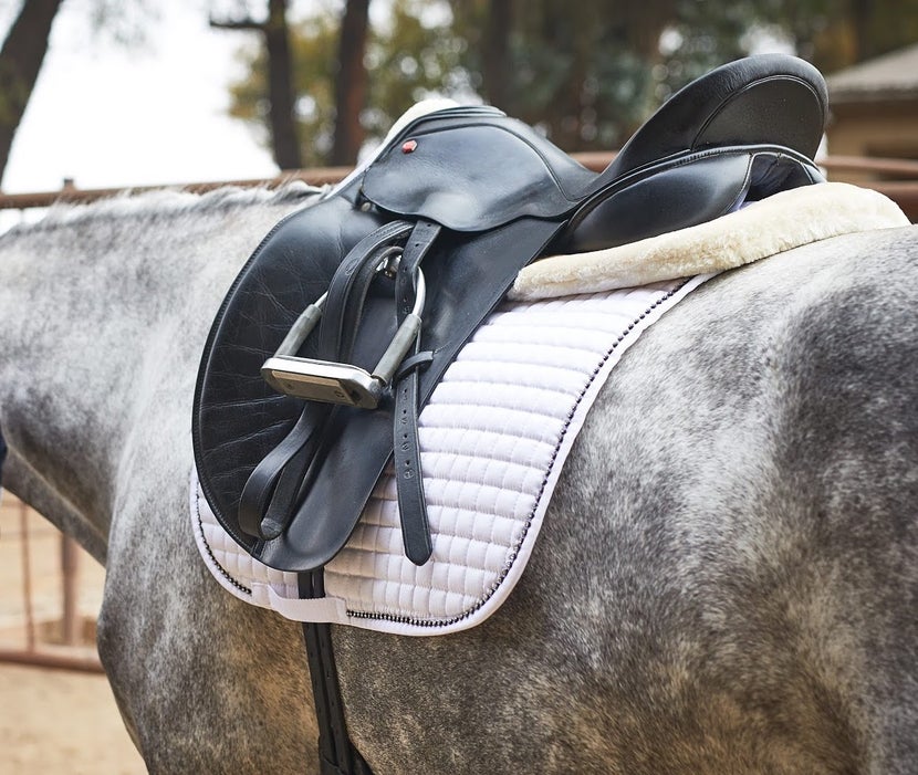 Gel pad or just saddle cloth - what to use while horseback riding