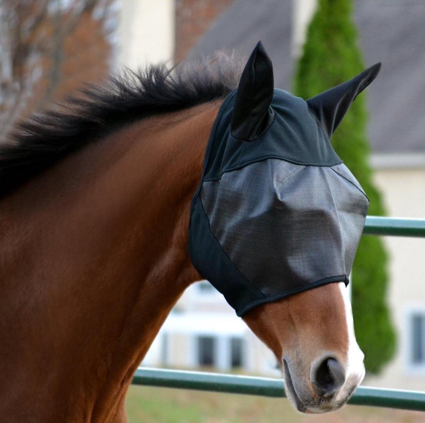 Best Fly Masks of 2021 A Buying Guide for Horse Owners