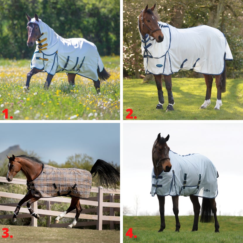 Four types of fly sheets for horses: standard, standard with belly band, combo, and sweet itch fly sheets