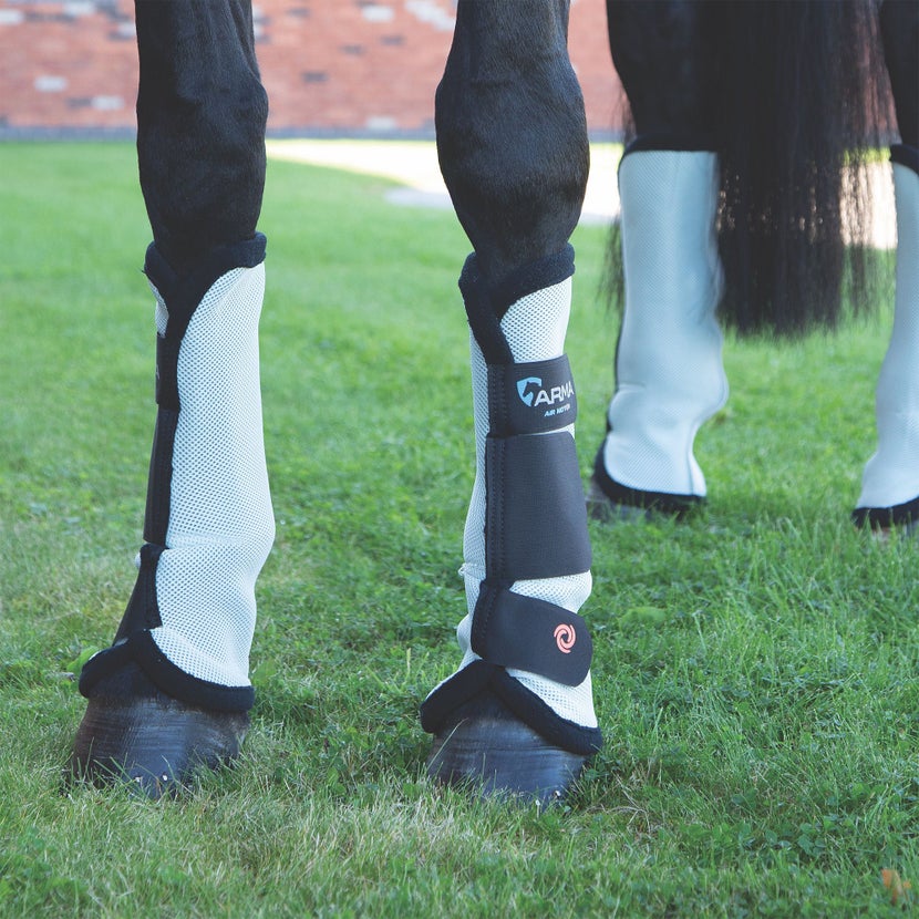 mesh fly boots on a horse's legs