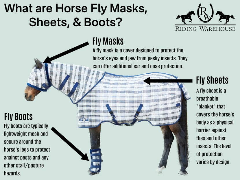 Diagram on types of fly gear for horses