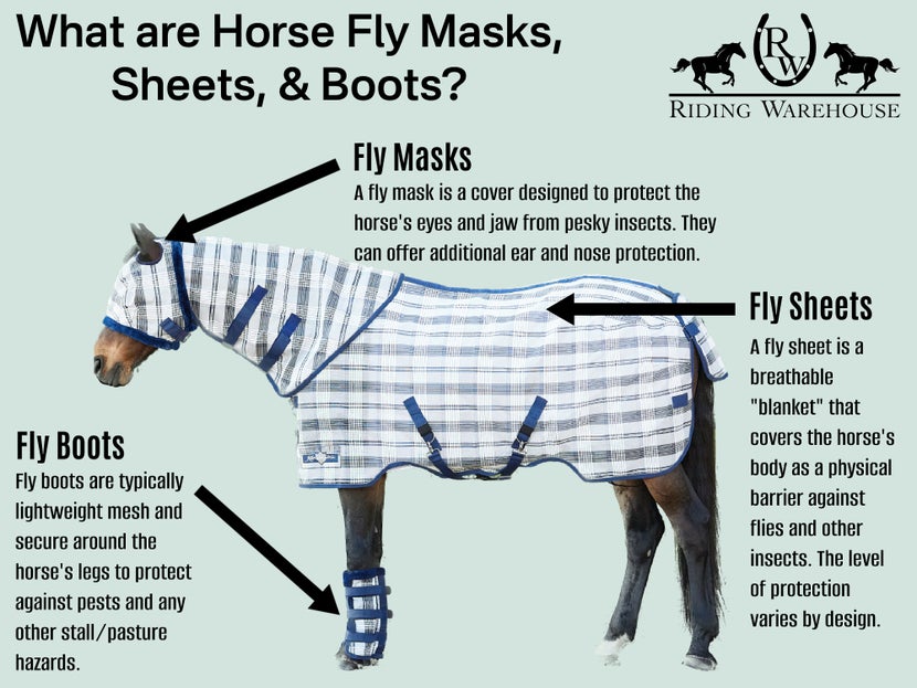 Fly Masks, Sheets, & Boots for Horses: Types, Materials, & Fitting