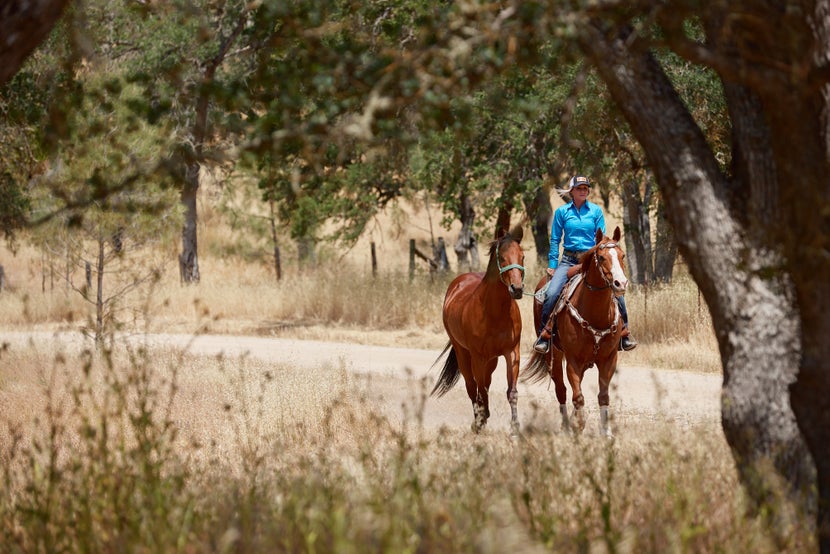 Krista riding her chestnut horse and ponying her bay horse through the trees. 