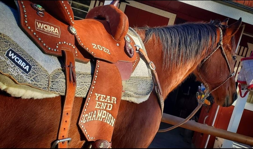 A close up of Krista William's Year End Champion prize barrel racing saddle from the WCBRA in 2022.
