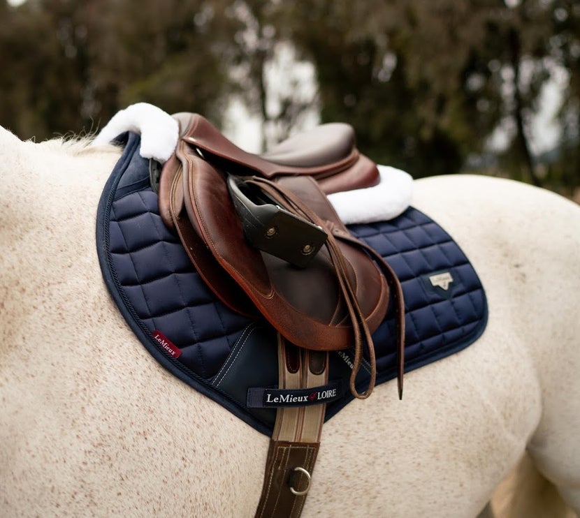 English saddle on grey horse, with all purpose saddle pad and half pad. 