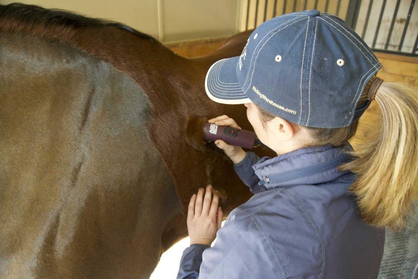 Back view of woman body clipping the shoulder area of a bay horse. 