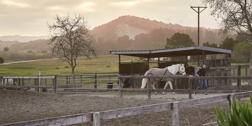 Women leading blanketed horse from pasture. 