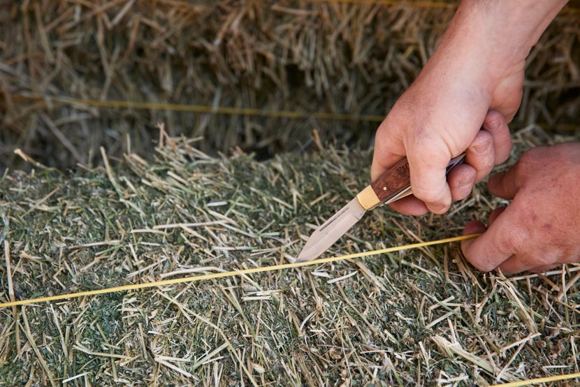 Alfalfa hay bale string being cut with the knife of the Horseman's 5 in 1 Knife with Hoof Pick. 