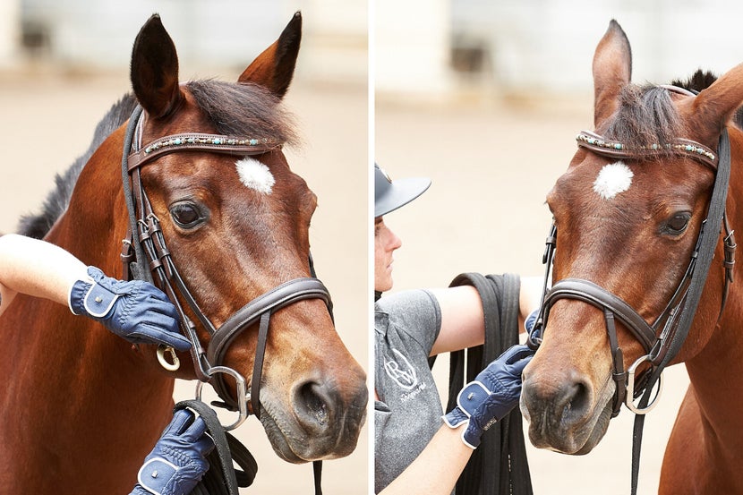 A woman attaches the lunge line to the horse's bit by attaching the lunge line through the bit ring on one side, over the horse's poll, and attach it to the bit ring on the outside.