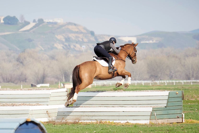 horse and rider jumping a table 